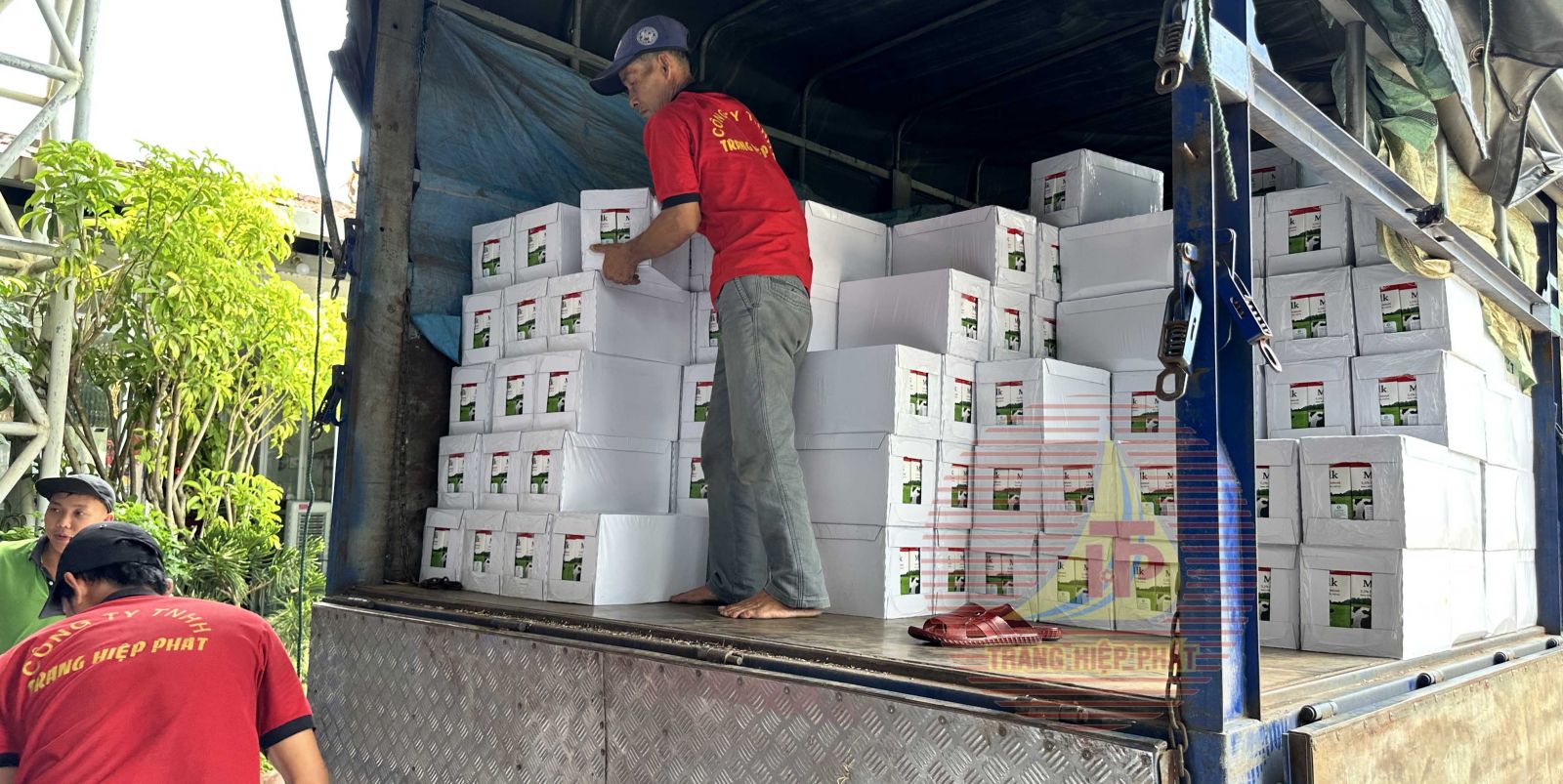 Nhà Phân Phối Sữa M Mlik Sữa Đỏ Tại Phú Yên